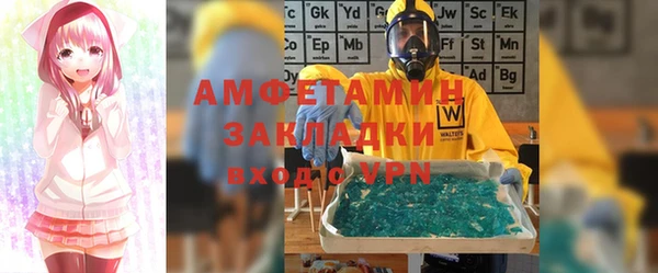прущие грибы Горнозаводск
