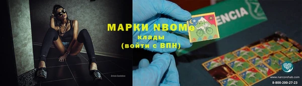 прущие грибы Горнозаводск