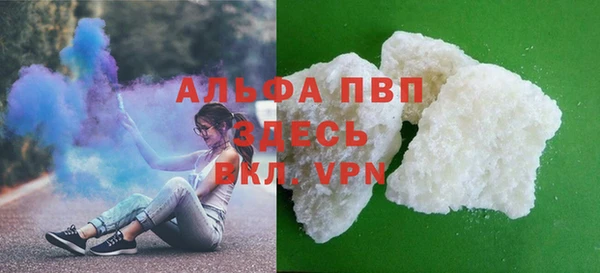 прущие грибы Лысьва