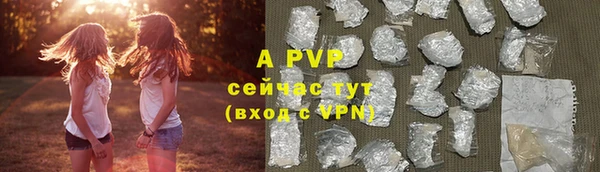 PSILOCYBIN Нефтегорск