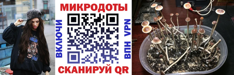 Галлюциногенные грибы Magic Shrooms  Пикалёво 